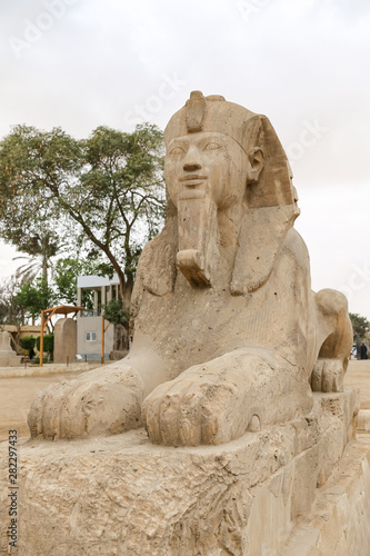 Sphinx in Memphis  Cairo  Egypt