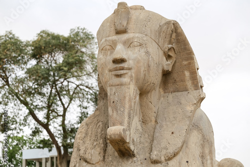 Sphinx in Memphis  Cairo  Egypt