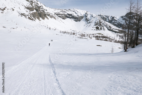 Group of hikers trekking in the mountains of the Alps.