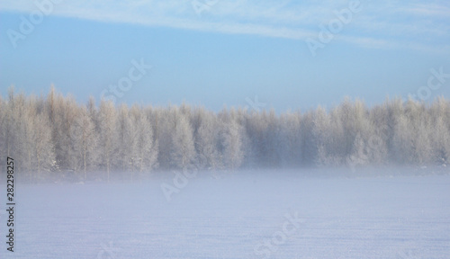 beautiful pastel blue rural winter landscape with trees in distance and empty sky copy space. Winter wonderland concept © k