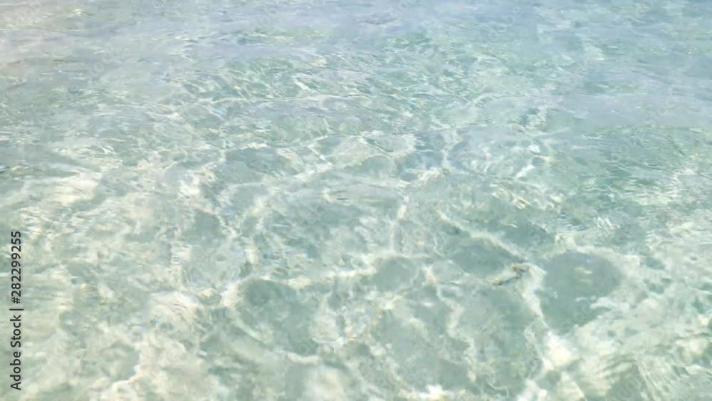 海面の波紋 海面の波紋