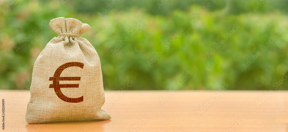 Natura verlegen speelplaats Money bag with Euro symbol on a nature background. Attracting investment to  development and modernization. Business, budget, financial transactions.  Available loans and subsidies, Copy space. Banner Stock Photo | Adobe Stock