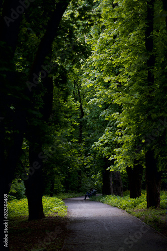 view in a large park