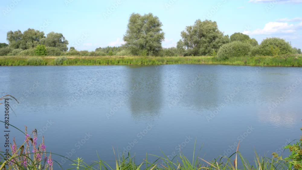 Landscape on a bright sunny summer day. Trees over the river. Landscape on a bright sunny summer day. Trees over the river.