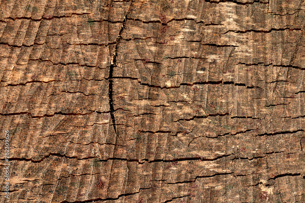Wood grain, wooden texture background. Close up, copy space. Wood grain, wooden texture background. Close up, copy space.