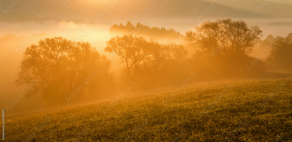 Fall in Slovakia. Meadows and fields landscape. Autumn color trees at sunrise.