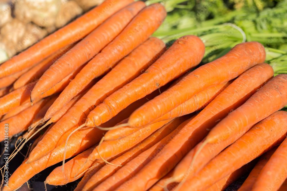 PRAID, ROMANIA - July 4, 2019: Close up of fresh carrots - on sale at a market. Agriculture, baby food, healthy, carotene, close up, harvest, garden, vitamin, bunch, natural, context, vivid, orange. PRAID, ROMANIA - July 4, 2019: Close up of fresh carrots - on sale at a market. Agriculture, baby food, healthy, carotene, close up, harvest, garden, vitamin, bunch, natural, context, vivid, orange.