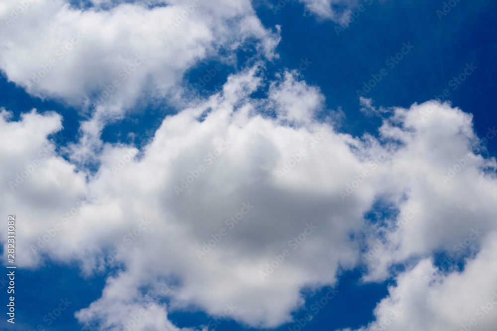Fototapeta premium The white cloudscape in the bright blue sky.