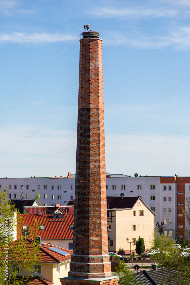 Fototapeta premium Horst eines Storches auf einem alten Schornstein