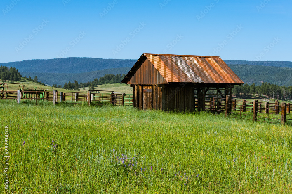 An old weathered barn with a rusty corrugated metal roof and corral in a grassy field on a ranch in Pagosa Springs, Colorado
