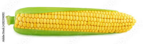 ripe corn isolated on a whi...