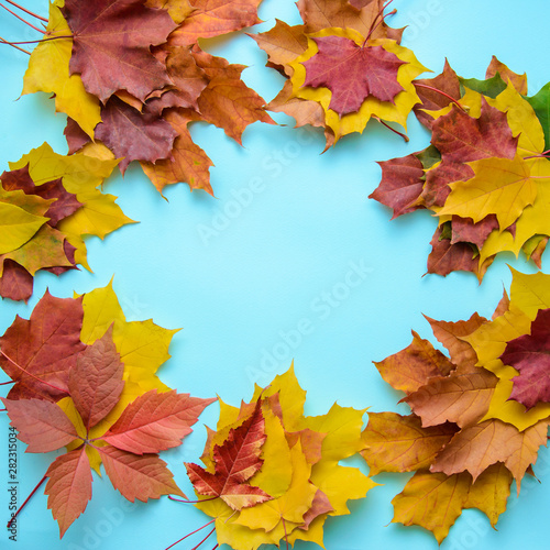 Frame of autumn leaves on a blue background
