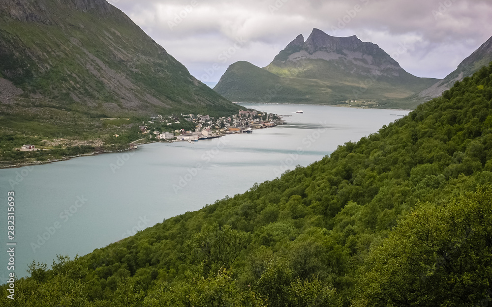 The village and the pier for yachts and boats in the Fiord of Norway. In the foreground forest