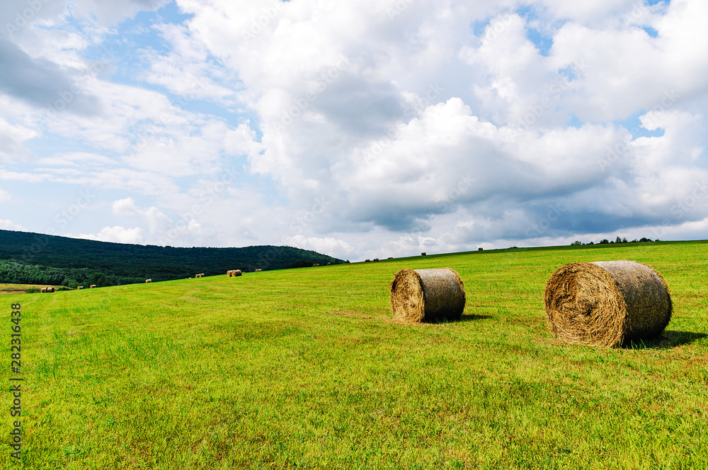 Agricultural landscape - idyllic farm field with hay bales on a sunny day Agricultural landscape - idyllic farm field with hay bales on a sunny day