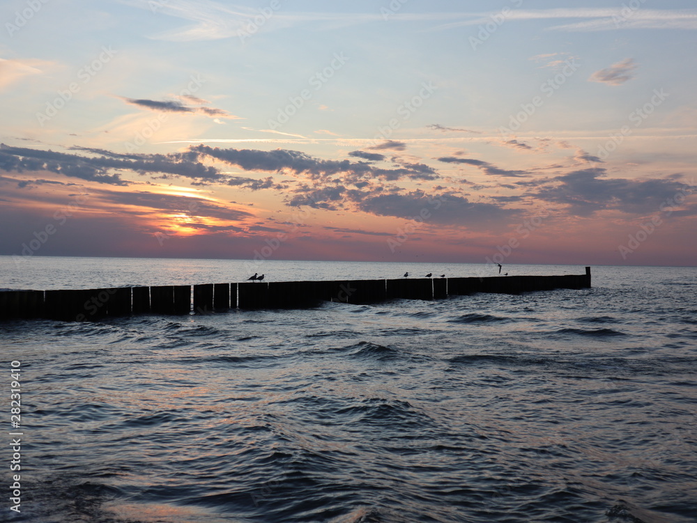 Fototapeta premium Bunen in der polnischen Ostsee