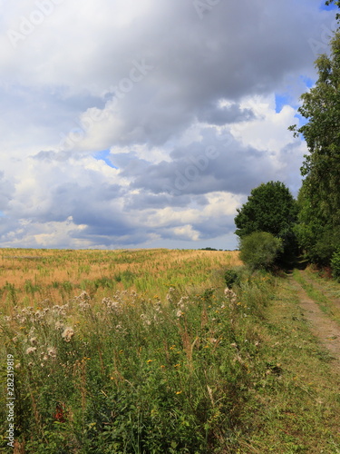 Sommerstimmung in Westpommern, Polen photo