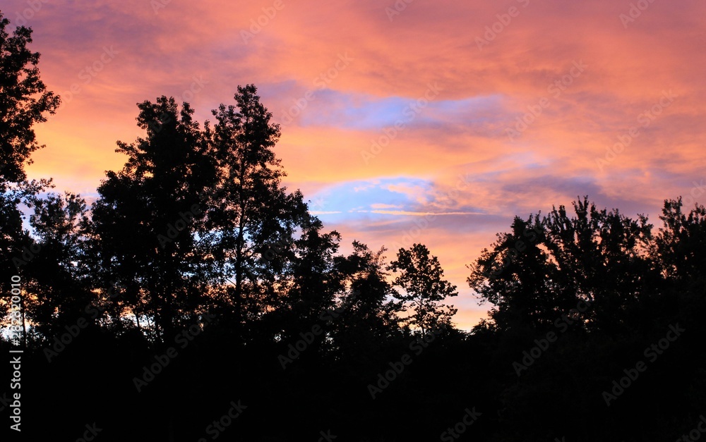 Sunset and Trees