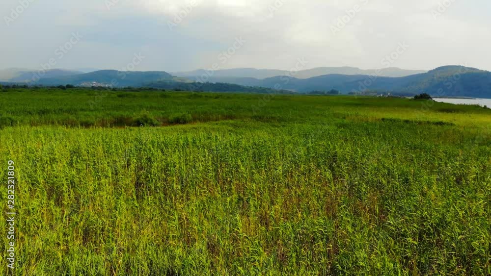 A drone fly-over above lush, green Aegean coastal marshes. Taken in Akyaka (Gulf of Gokova, Aegean Sea) on a colorful spring afternoon.. A drone fly-over above lush, green Aegean coastal marshes. Taken in Akyaka (Gulf of Gokova, Aegean Sea) on a colorful spring afternoon..