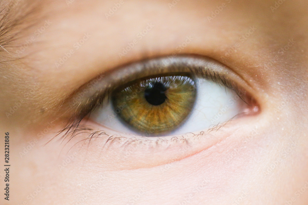 Details with the eye, eyebrow and lashes of a little girl Details with the eye, eyebrow and lashes of a little girl