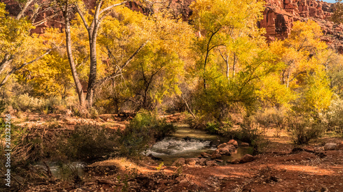 Stream flowing through Grand Canyon