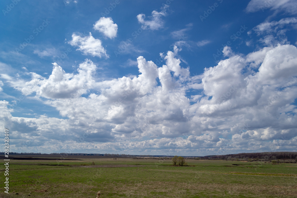 Fototapeta premium Spring green plain with white cumulus clouds above it. Landscape view to the horizon.