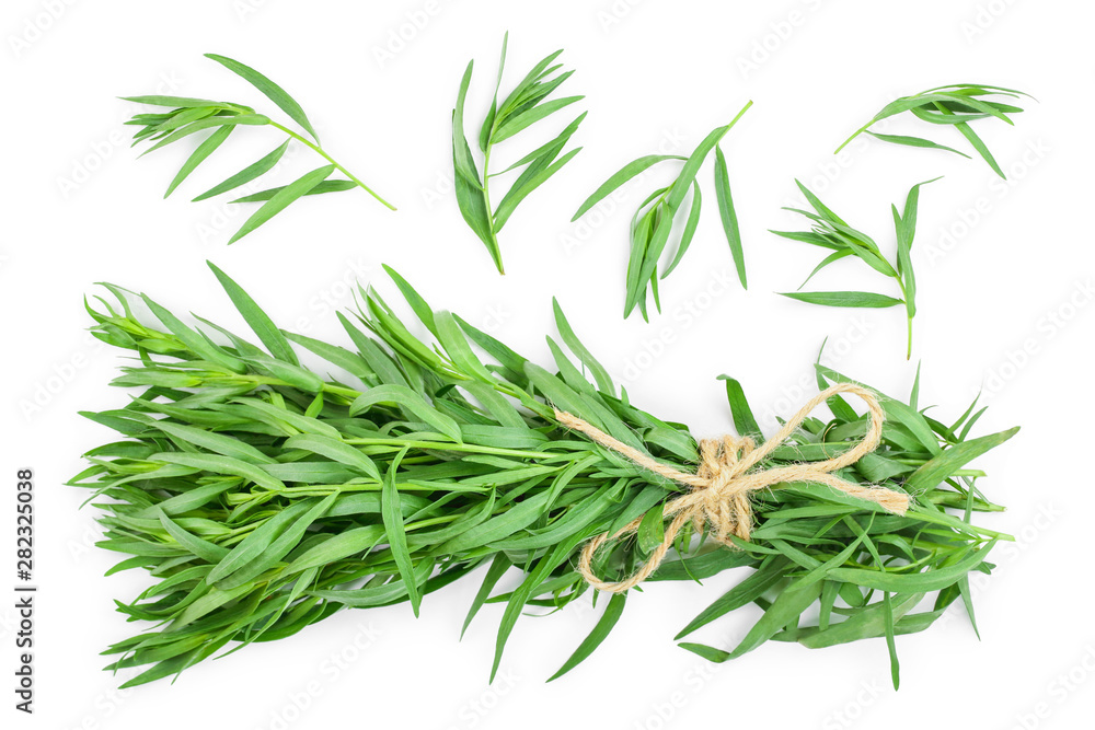Fototapeta premium estragon lub estragon na białym tle na białym tle. Artemisia dracunculus