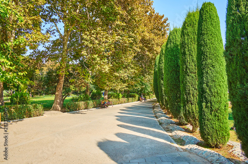 The alley with thuja trees, Laleh Park, Tehran, Iran photo