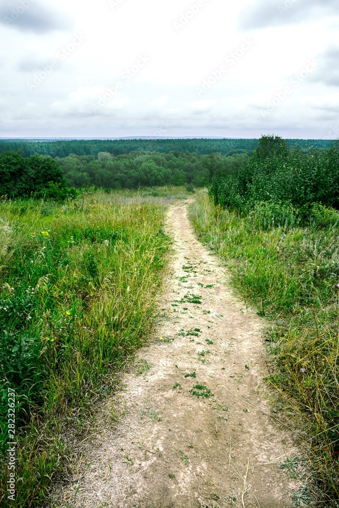 road in the field. Summer landscape. Green grass and flowers road in the field. Summer landscape. Green grass and flowers