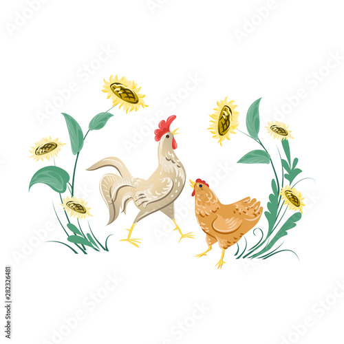 Cute white rooster and brown chicken near sunflower