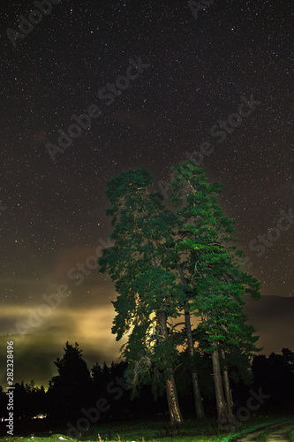 Landscape with a tree. Night sky with stars