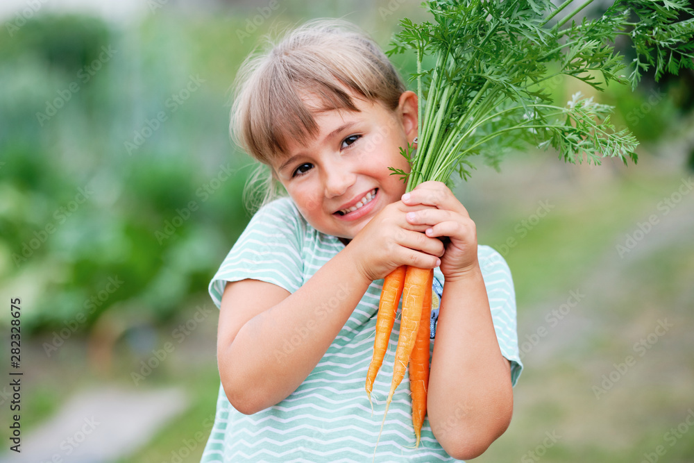 Little girl Picking Carrots in a Garden. Autumn Vegetable Harvest Little girl Picking Carrots in a Garden. Autumn Vegetable Harvest
