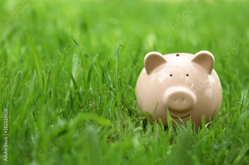 Cute piggy bank in green grass outdoors