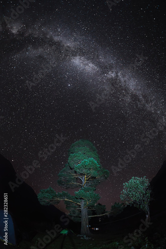 Landscape with the Milky Way. Night sky with stars and a lush tree on a background of mountains