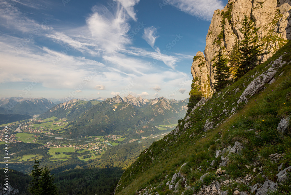 Naklejka premium Säuling