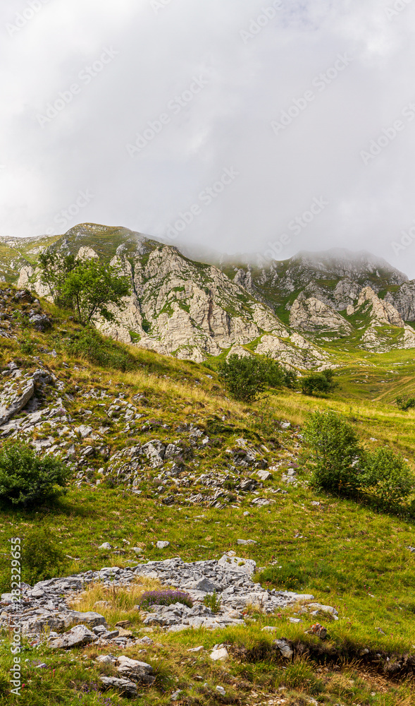 Landscape Landscape