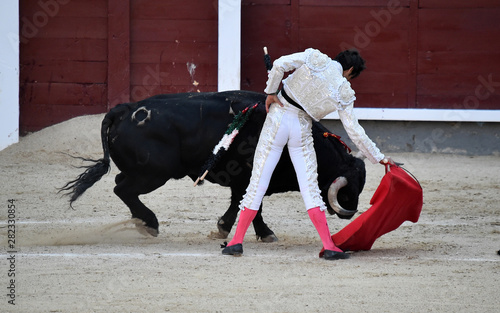 bullfight in spain