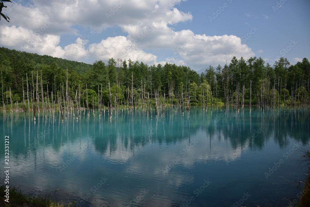 Obraz premium 日本の北海道美瑛町の青い池