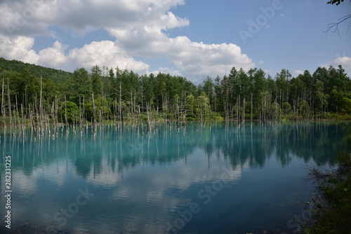 日本の北海道美瑛町の青い池