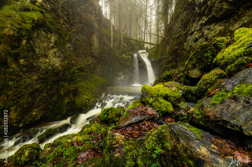 Black forest waterfall