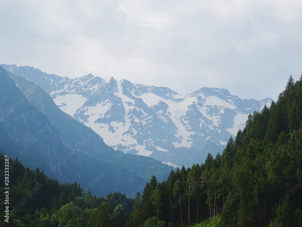 Obraz premium The Alps of Val Camonica near the town of Vezza D'oglio, Italy - June 2019.