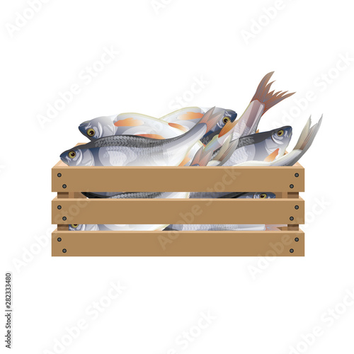Fish in wooden crate