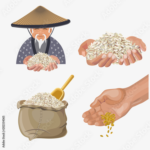 Rice harvest vector