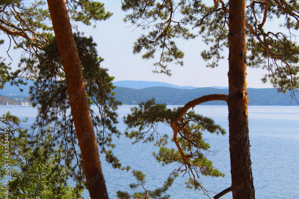 Obraz premium Beautiful view of the lake and mountains through the pine trees. Background. Landscape.