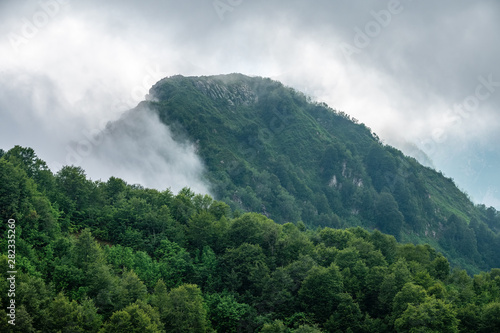 High mountains with forested slopes and peaks hidden in the clouds. Three deer or mountain goats stand on a ridge in the distance.