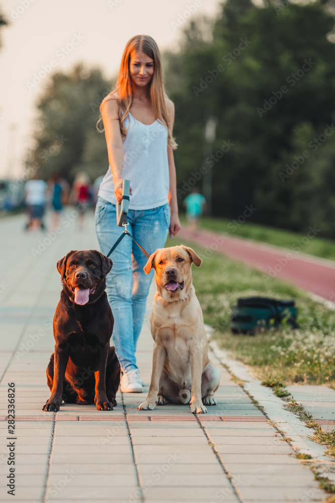 Walking two dogs hot sale together