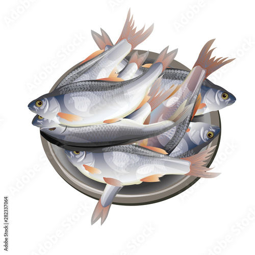 Fish in a bowl