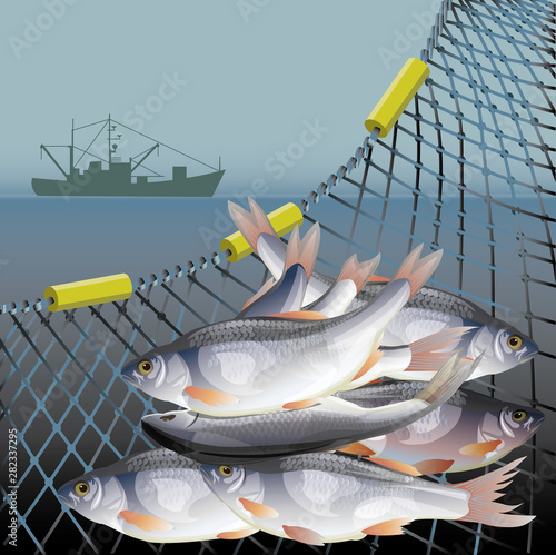 Fishery poster vector