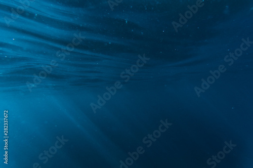 Underwater © photogoricki
