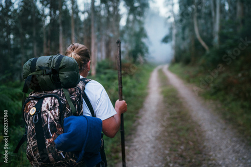 Photos Way of Saint James pilgrim backpacker female going by the path through Eucalyptus forest  back view image shoot