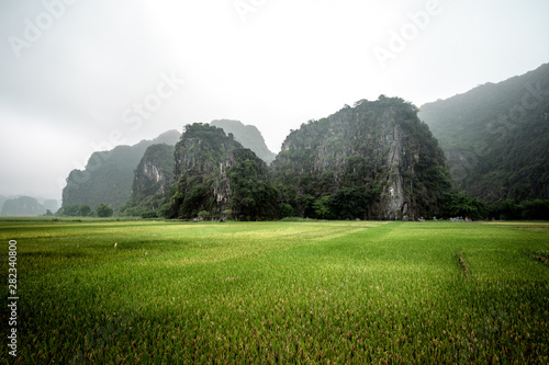 rice paddies and hills near Ninh Binh